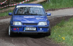 Ein blaues Auto auf einem Feldweg.